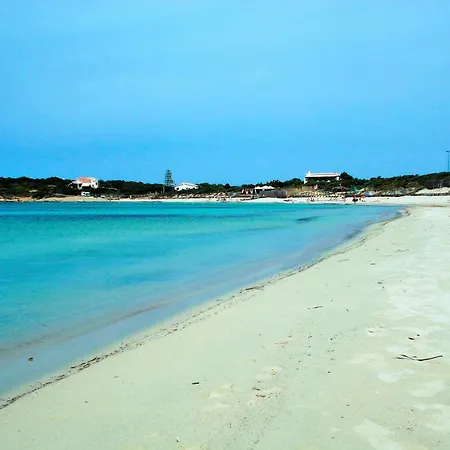 Holiday home Pineta Grande