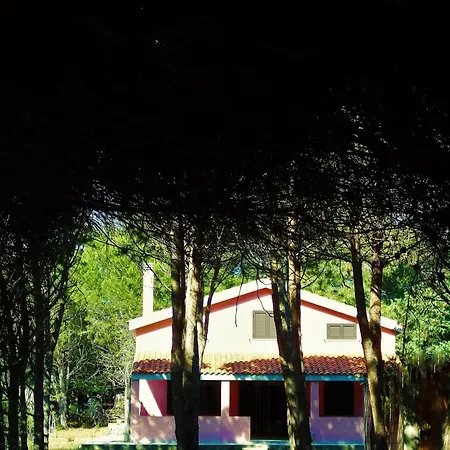 Pineta Grande *