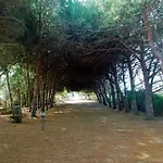 Pineta Grande 펜션 칼라세타