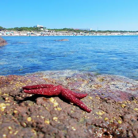 Pineta Spiaggia Grande Calasetta